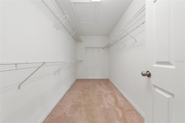 3508 Brighton Park Cir, Belle Isle, FL 32812 - spacious closet featuring light carpet