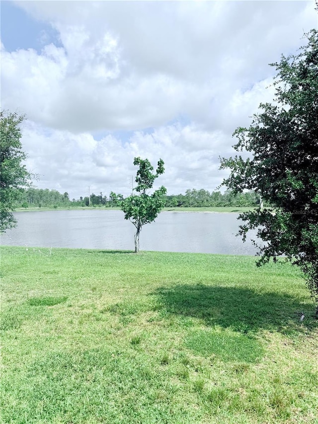 11408 Satire St, Orlando, FL 32832 - photo 19