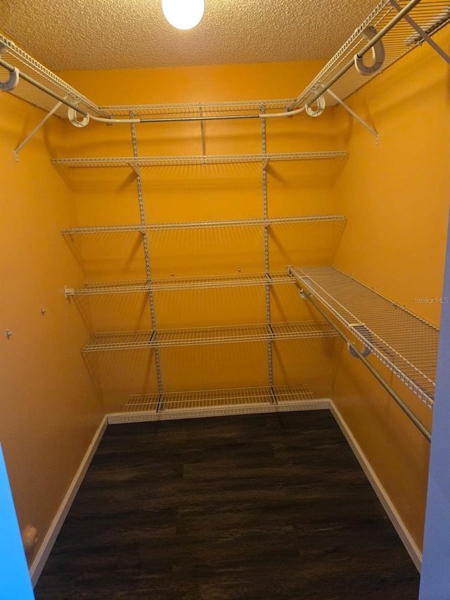 3869 Sienna Greens Ter, Lauderhill, FL 33319 - walk in closet with wood finished floors
