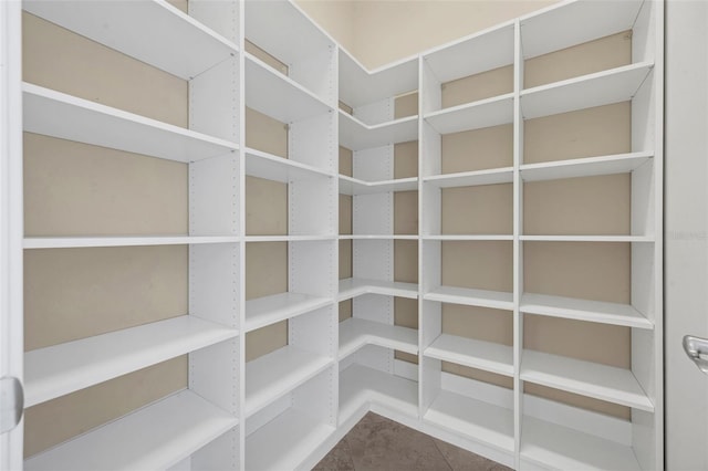 15344 Johns Lake Pointe Blvd, Winter Garden, FL 34787 - view of pantry
