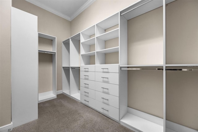 15344 Johns Lake Pointe Blvd, Winter Garden, FL 34787 - spacious closet with dark carpet