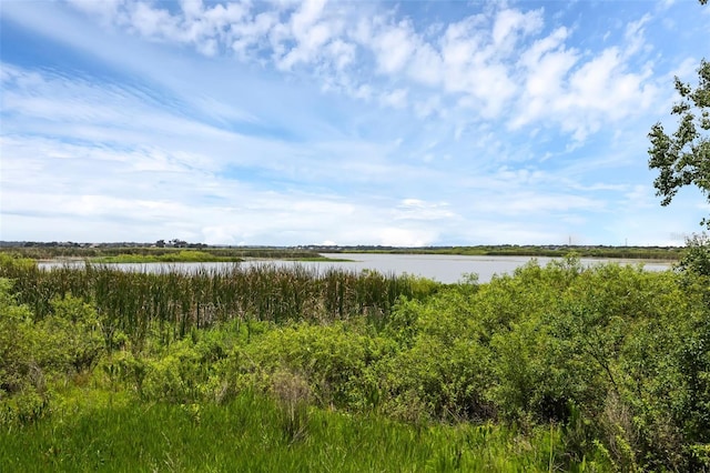 15344 Johns Lake Pointe Blvd, Winter Garden, FL 34787 - water view