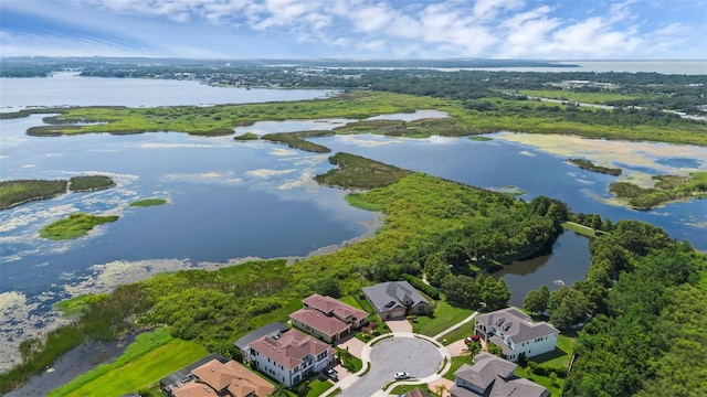 15344 Johns Lake Pointe Blvd, Winter Garden, FL 34787 - aerial perspective of suburban area featuring a large body of water