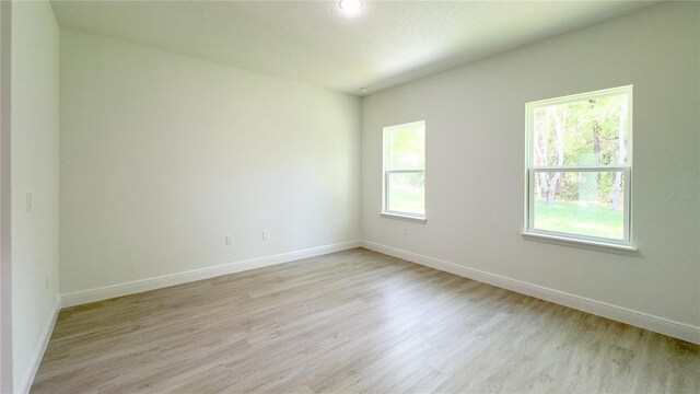 2498 W Magenta Dr, Citrus Springs, FL 34434 - empty room with light wood-type flooring