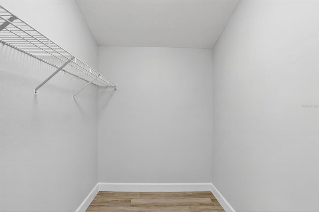 632 Bridge Creek Blvd, Ocoee, FL 34761 - spacious closet with light wood-style floors
