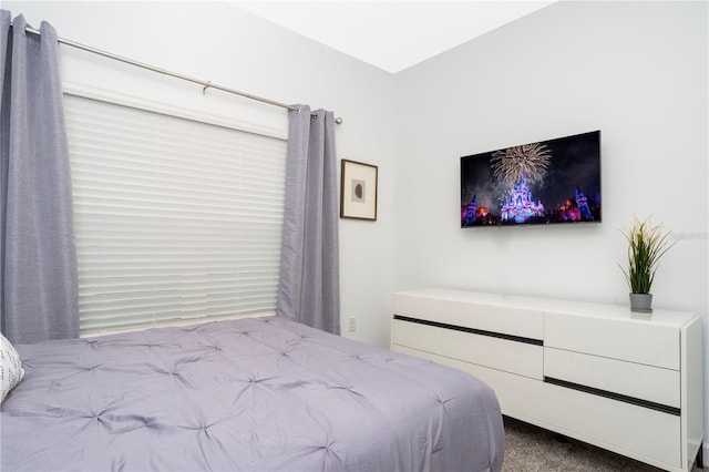 1070 Splash Shot Pl, Davenport, FL 33896 - view of carpeted bedroom
