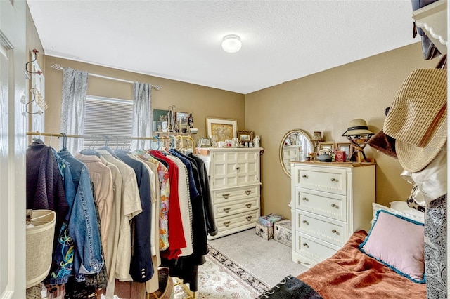 8152 Fan Palm Way, Kissimmee, FL 34747 - walk in closet featuring carpet