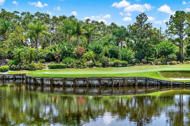 6836 Bittersweet Ln, Orlando, FL 32819 - water view featuring a tree filled landscape