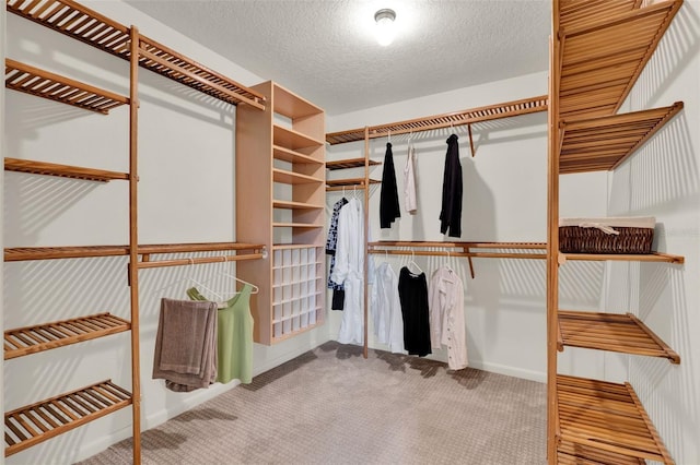 6836 Bittersweet Ln, Orlando, FL 32819 - walk in closet featuring carpet