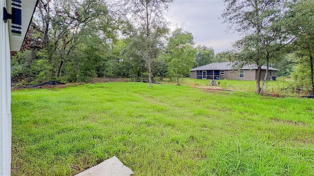 2486 W Magenta Dr, Citrus Springs, FL 34434 - view of grassy yard