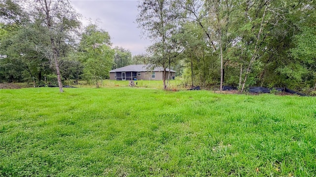 2486 W Magenta Dr, Citrus Springs, FL 34434 - view of yard