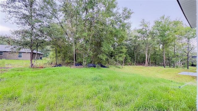 2486 W Magenta Dr, Citrus Springs, FL 34434 - view of yard