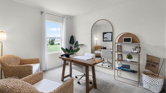 3585 Roden Rd, Haines City, FL 33844 - home office featuring light colored carpet and baseboards