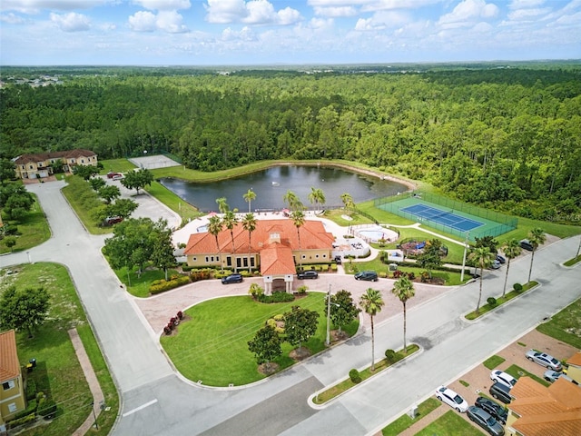 436 Caraway Dr, Kissimmee, FL 34759 - bird's eye view of a forest and a nearby body of water
