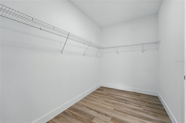 436 Caraway Dr, Kissimmee, FL 34759 - walk in closet featuring wood finished floors
