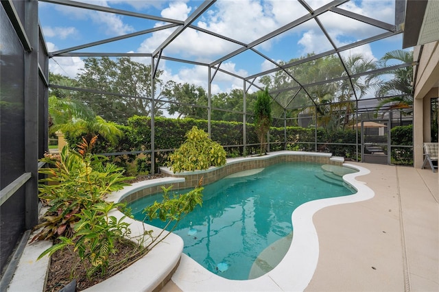 8108 Via Bella Notte, Orlando, FL 32836 - swimming pool with a patio and glass enclosure