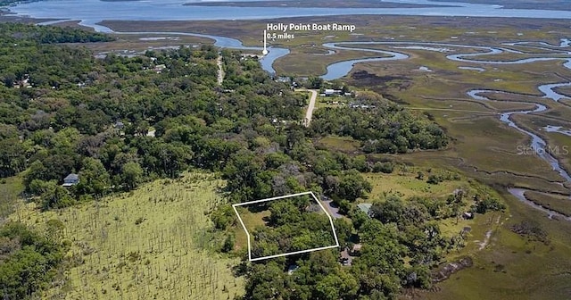 94469 Duck Lake Dr, Fernandina Beach, FL 32034