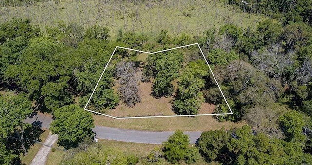 94469 Duck Lake Dr, Fernandina Beach, FL 32034