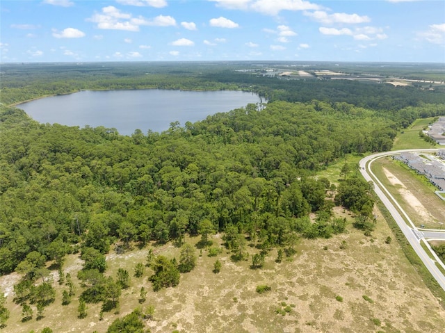 9775 Seidel Rd, Winter Garden, FL 34787