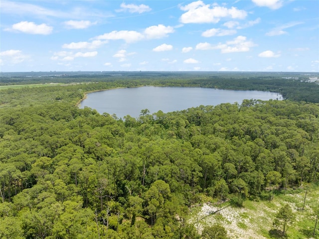 9775 Seidel Rd, Winter Garden, FL 34787