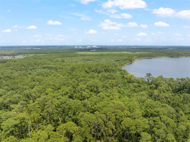 9775 Seidel Rd, Winter Garden, FL 34787