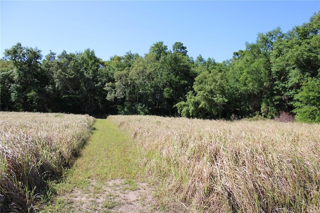 Willow Rd, Ocala, FL 34472
