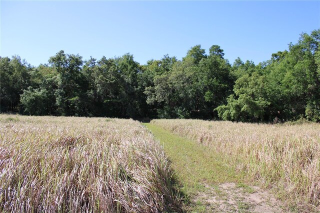 Willow Rd, Ocala, FL 34472