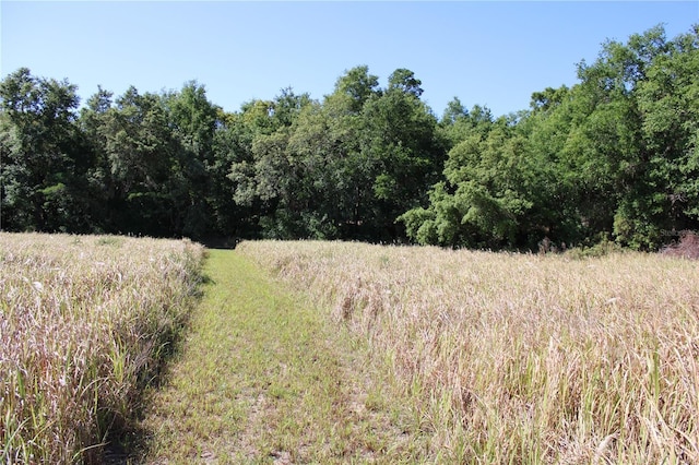 Willow Rd, Ocala, FL 34472