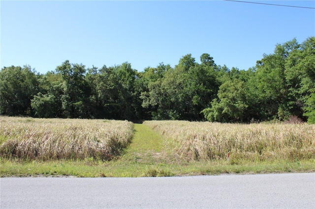 Willow Rd, Ocala, FL 34472