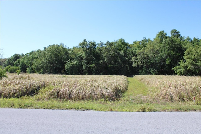 Willow Rd, Ocala, FL 34472