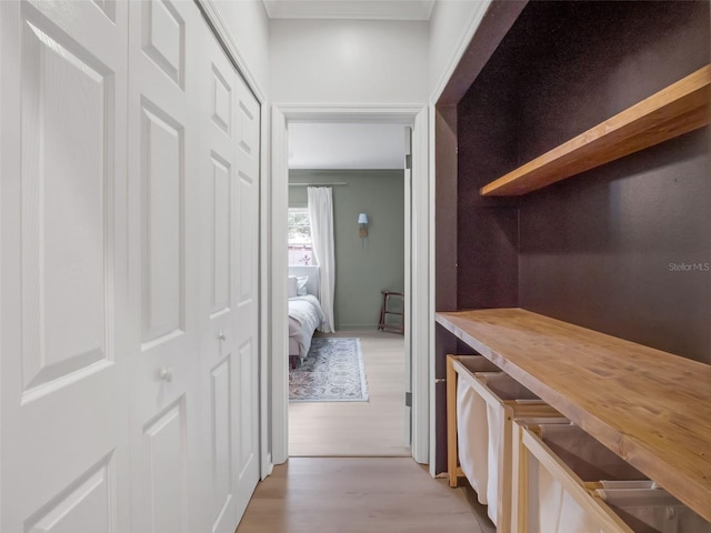 1105 Appleton Ave, Orlando, FL 32806 - hallway featuring light wood-type flooring and ornamental molding