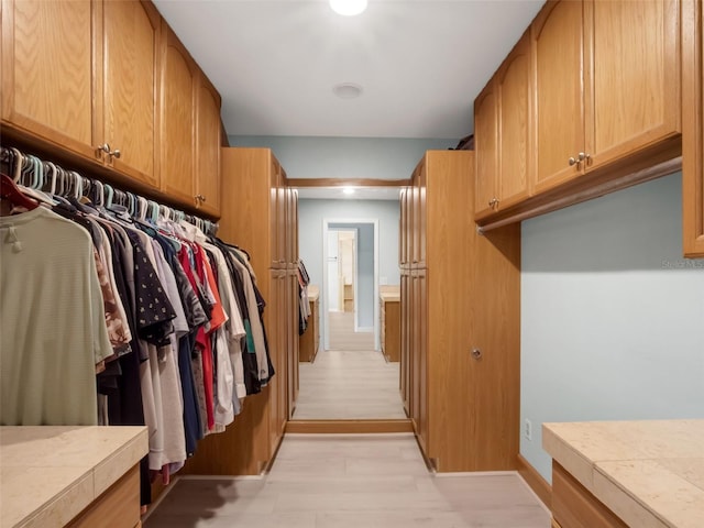 1105 Appleton Ave, Orlando, FL 32806 - walk in closet with light wood-type flooring