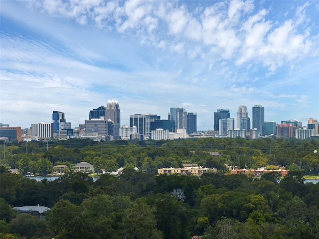 1105 Appleton Ave, Orlando, FL 32806 - skyline view