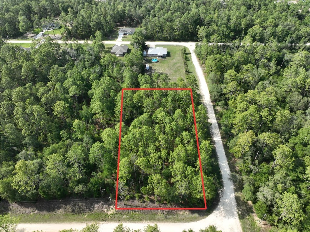 SW 81st St, Dunnellon, FL 34432