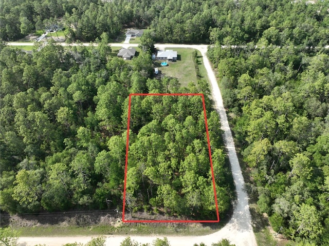 SW 81st St, Dunnellon, FL 34432