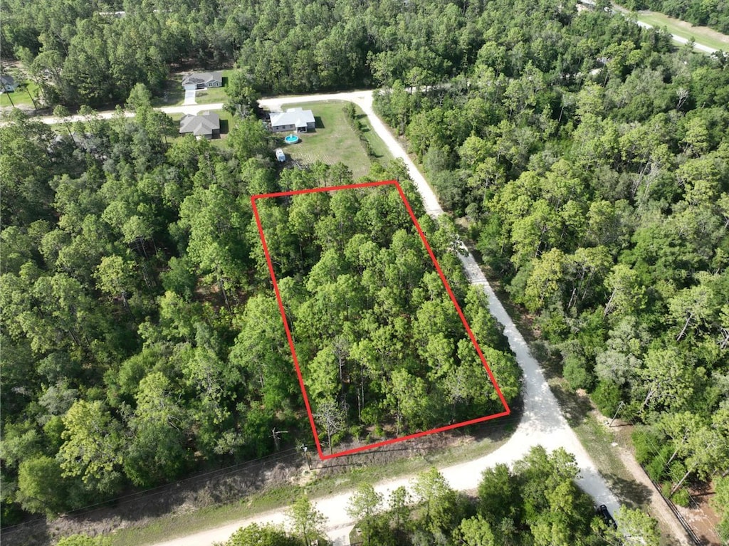 SW 81st St, Dunnellon, FL 34432