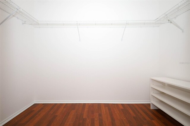 2205 Wyndam Way, Kissimmee, FL 34743 - spacious closet with wood finished floors