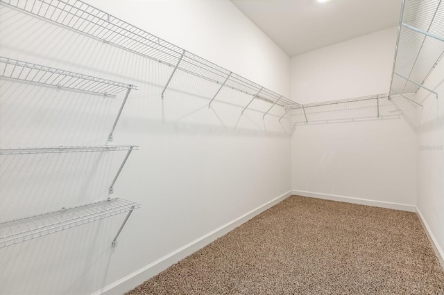 13209 Haystack Ct, Riverview, FL 33579 - spacious closet featuring carpet