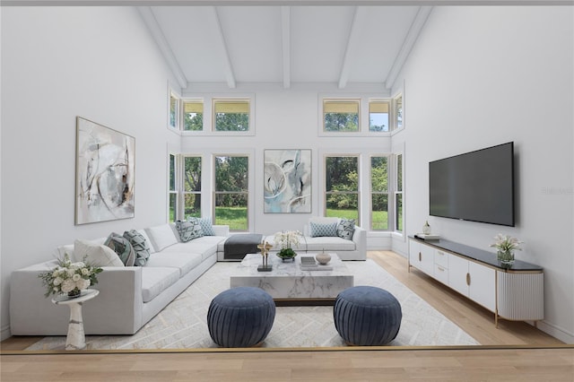 8735 Rancho Ct, Orlando, FL 32836 - living area featuring beam ceiling, light wood-style flooring, a towering ceiling, and healthy amount of natural light