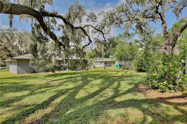 1607 Lindale Ave, Eustis, FL 32726 - view of green lawn
