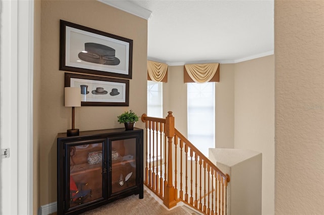 600 Egret Place Dr, Winter Garden, FL 34787 - corridor featuring an upstairs landing, carpet flooring, and ornamental molding