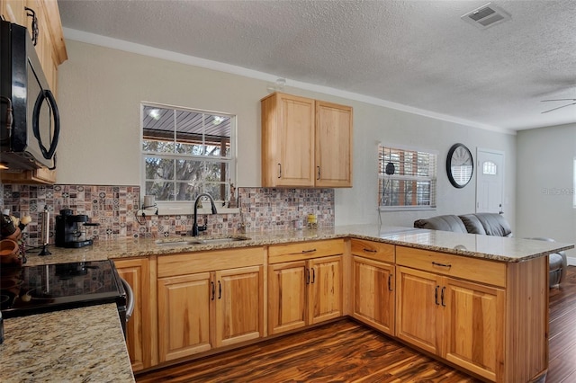 40140 Swift Rd, Eustis, FL 32736 - kitchen with a sink, black microwave, a peninsula, a textured ceiling, and open floor plan
