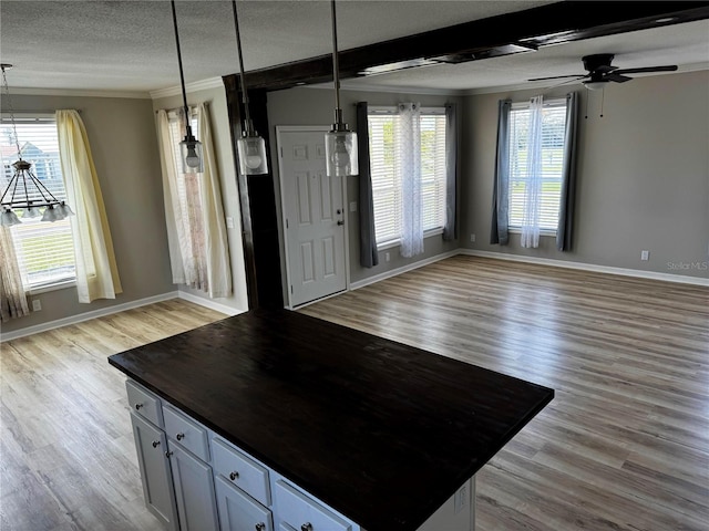 227 Bay St, Port St Joe, FL 32456 - entryway with a textured ceiling, ornamental molding, light wood finished floors, a ceiling fan, and plenty of natural light