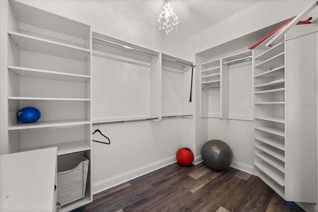 241 Riverside Dr Unit 902, Holly Hill, FL 32117 - walk in closet with dark wood-style flooring