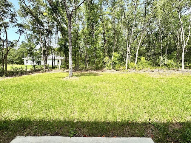 10616 N Didiscus Dr, Citrus Springs, FL 34434 - photo 27