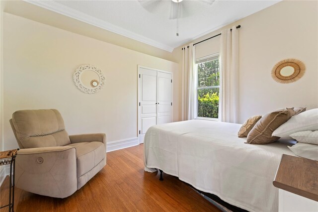 6720 Winter Garden Vineland Rd, Windermere, FL 34786 - photo 41