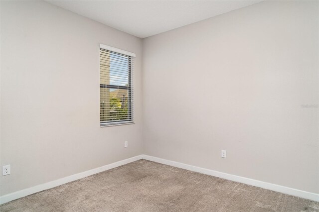 13244 Satin Lily Dr, Riverview, FL 33579 - photo 13
