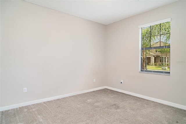 13244 Satin Lily Dr, Riverview, FL 33579 - photo 14