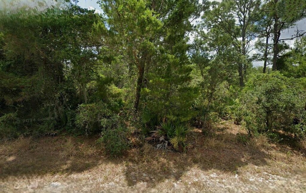 867 Letitia Dr, Sebring, FL 33875 - photo 1