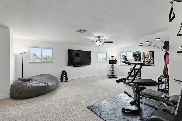 2118 Whiting Trl, Orlando, FL 32820 - exercise area with carpet floors, plenty of natural light, ceiling fan, and a textured ceiling